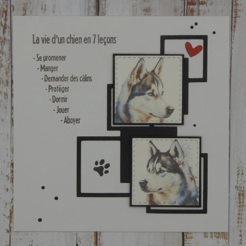 Carte la vie d'un chien huski en 7 leçons toute occasion anniversaire fait main