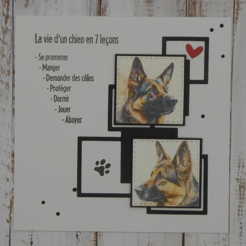 Carte la vie d'un chien berger allemand en 7 leçons toute occasion anniversaire fait main