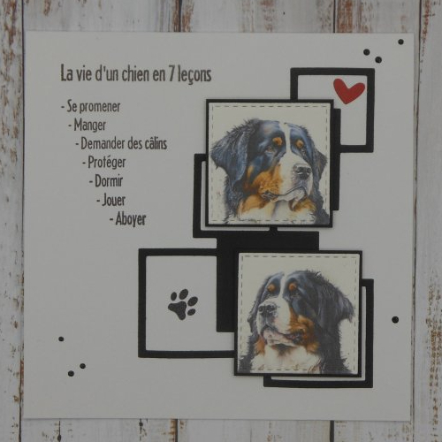 Carte la vie d'un chien bouvier bernois en 7 leçons toute occasion anniversaire fait main