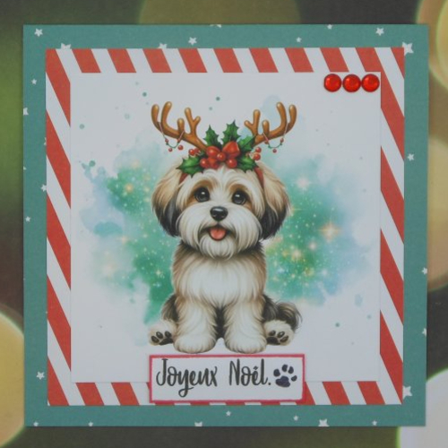 Carte joyeux noël petit chien rouge et vert fait main