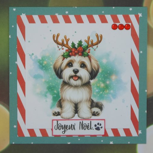 Carte joyeux noël petit chien rouge et vert fait main