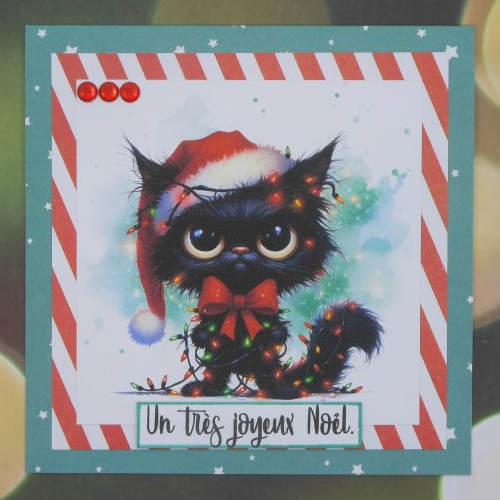 Carte joyeux noël chat noir bonnet et guirlande rouge et vert fait main
