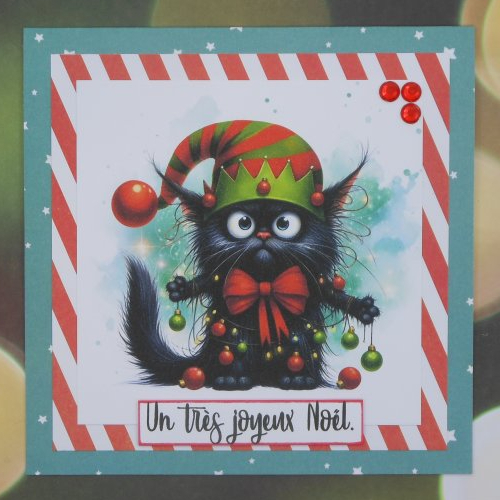 Carte joyeux noël chat noir au bonnet de lutin rouge et vert fait main