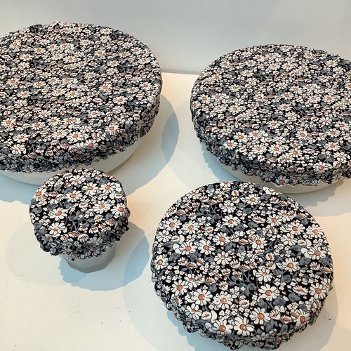 Lot de 4 charlottes alimentaires