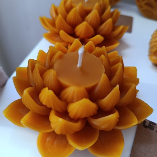 Lumières du béarn- lotus - bougies artisanales