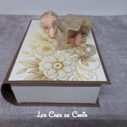 Boite livre avec son bébé.