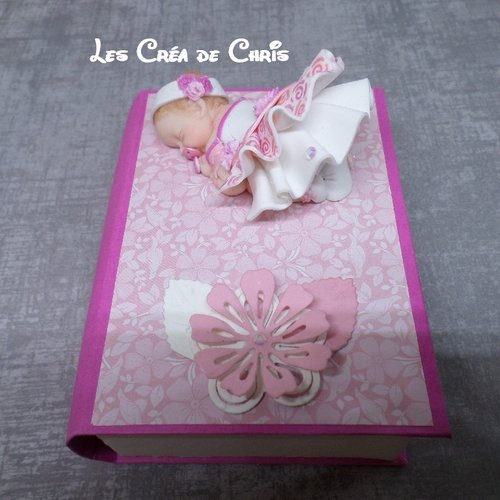 Boite livre avec son bébé.