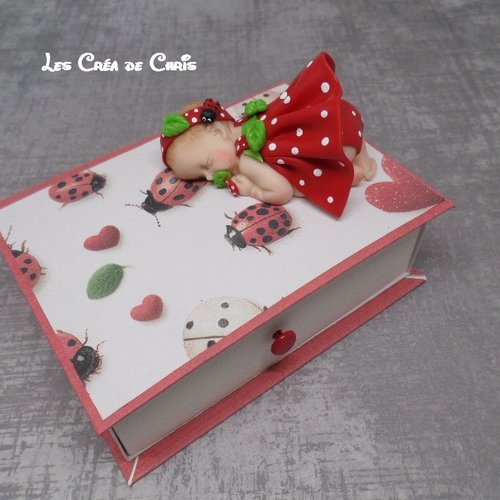 Boite livre avec son bébé coccinelle.
