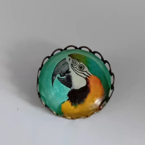 Broche "évasion tropicale" – cabochon perroquet