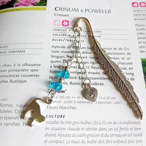 Marque page compagnon de lecture