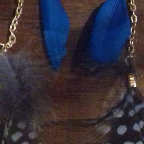 Boucle d oreille plume  bleu 