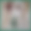 Boite de 12 lingettes bébé coton et éponge bambou verte