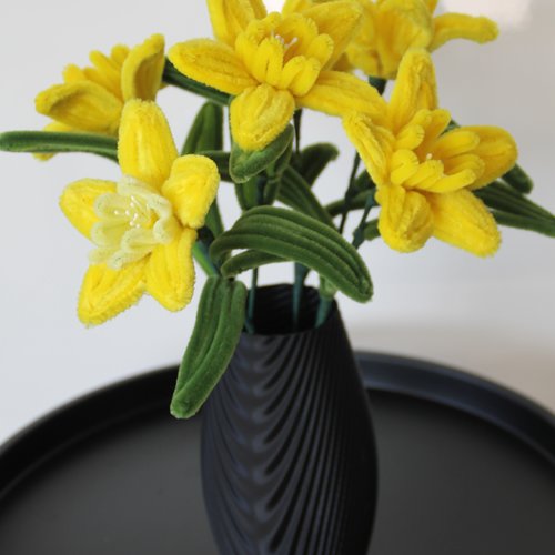 Jonquilles / narcisses