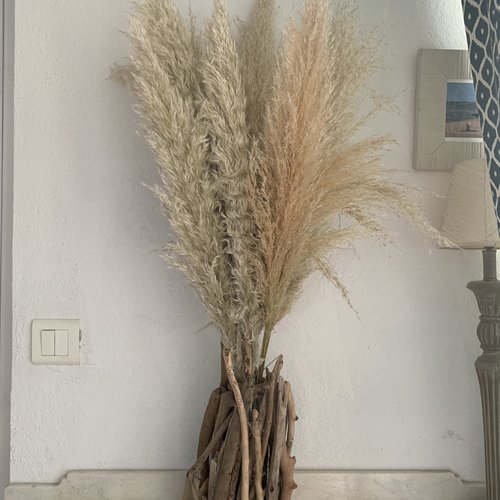 Bouquet d'herbes de pampa dans vase en bois flotté