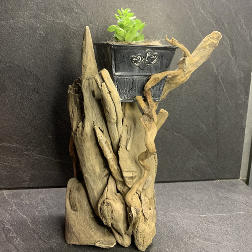 Support en bois flotté et pot en métal avec plante verte pour la fête des mères