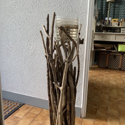 Structure en bois flotté pour plante