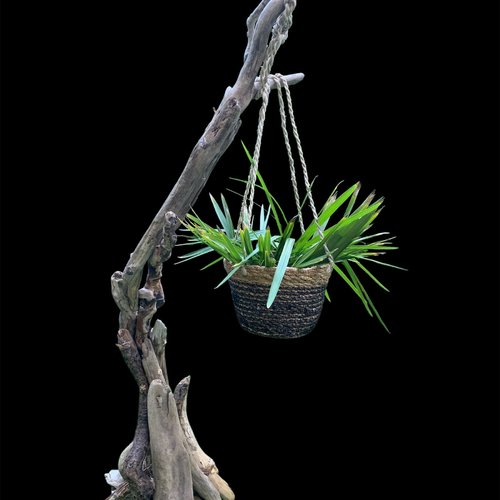 Structure en bois flotté et suspension en cordage pour plante à la fête des mères