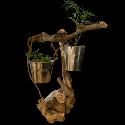 Structure en bois flotté et 2 plantes vertes dans pot en alu