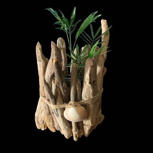 Pante verte dans pot en bois flotté décoré d'un coquillage