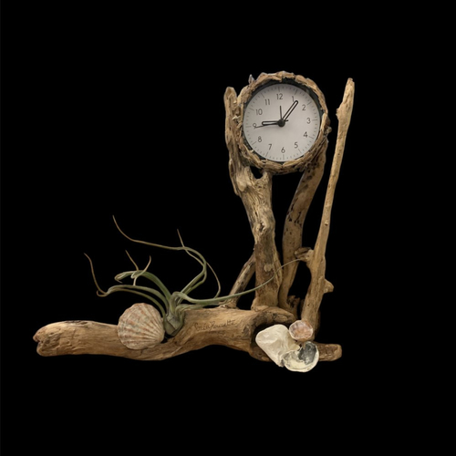 Horloge en bois flotté, décorée de coquillages et d'un tillandsia