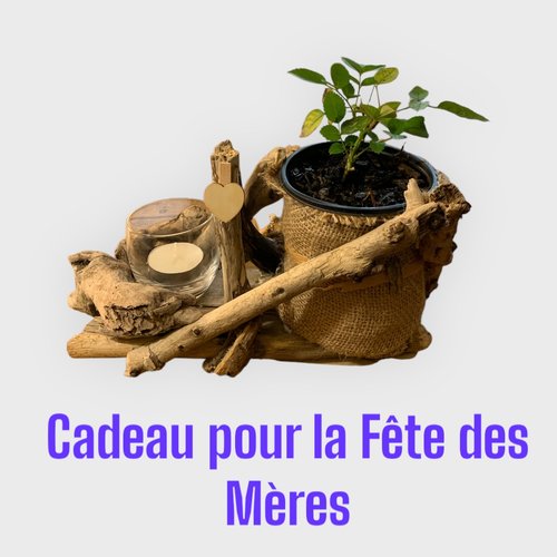Décoration florale en bois flotté, composé d'un rosier et d'une bougie, pour la fête des mères