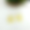 Paire de boucles d'oreille en résine et fleurs séchées de couleur jaune