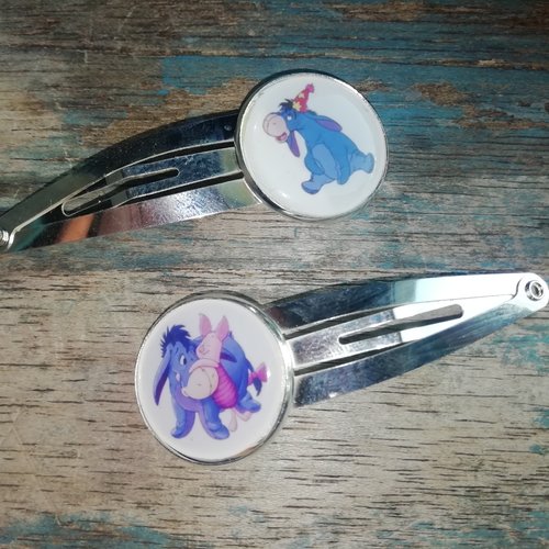Lot de 2 barrettes clips