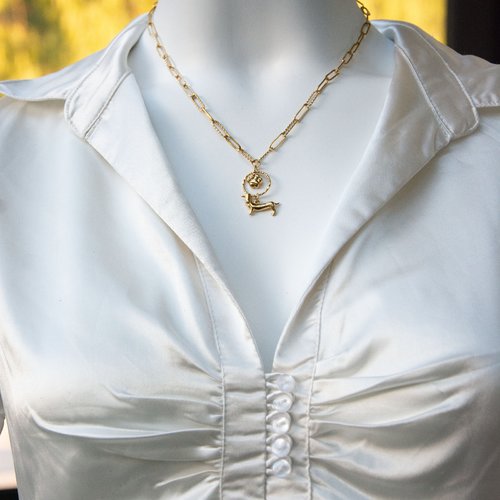 Collier chien teckel acier inoxydable doré et pendentif patte 49 cm "saucisse adorée" bijoux femme assembler mains