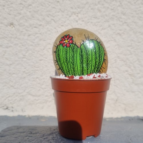 Les galets pot de cactus de wonder