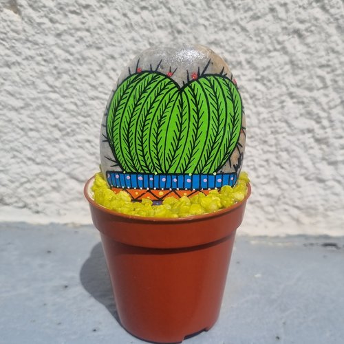 Les galets pots de cactus de wonder
