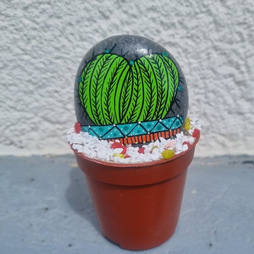 Les galets pots de cactus de wonder