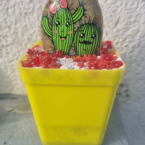 Les galets pots de cactus de wonder