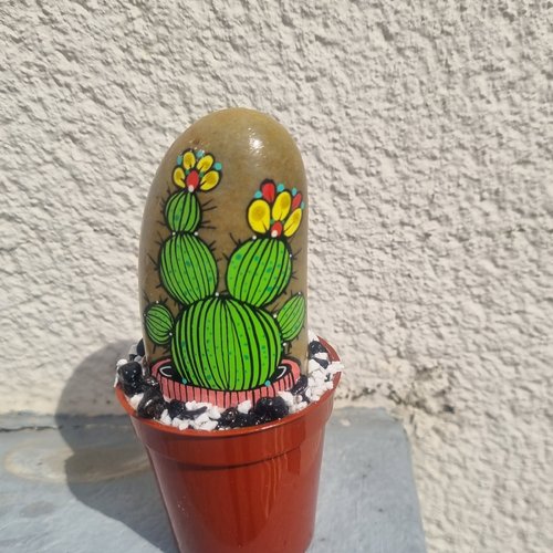 Les galets pots de cactus de wonder
