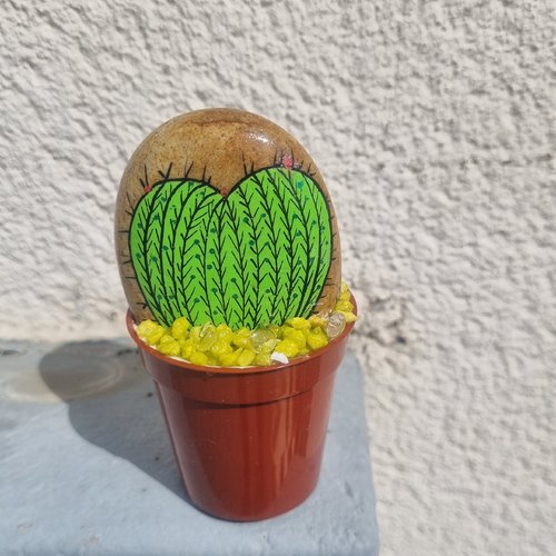 Les galets pots de cactus de wonder