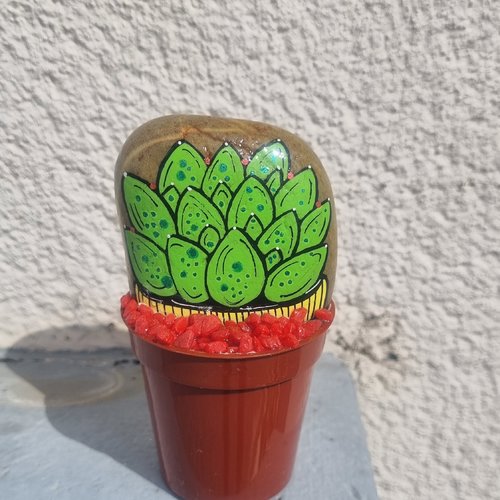 Les galets pots de cactus de wonder