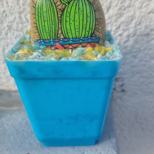 Les galets pots de cactus de wonder