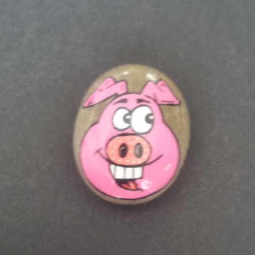 Les galets cochons de wonder