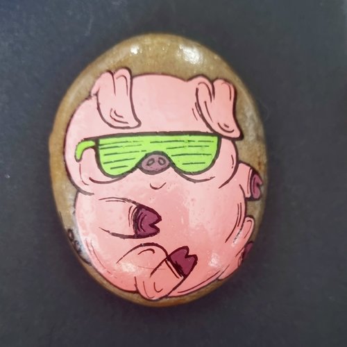 Les galets cochons de wonder