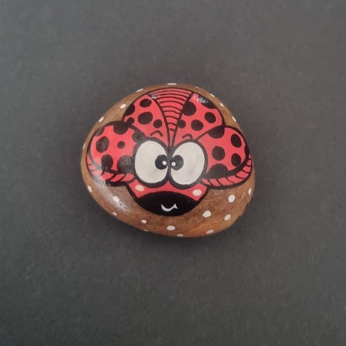 Les galets coccinelles de wonder