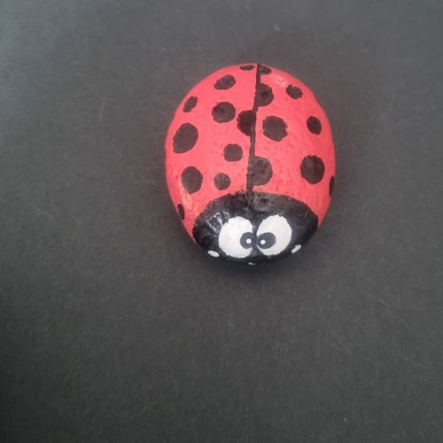 Les galets coccinelles de wonder