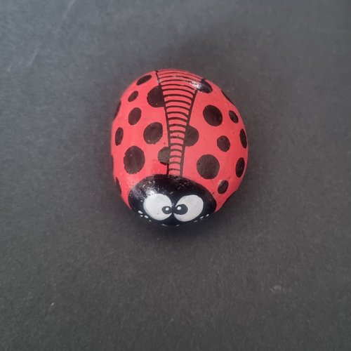 Les galets coccinelles de wonder