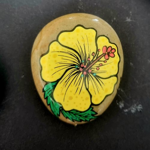 Les galets fleurs de wonder