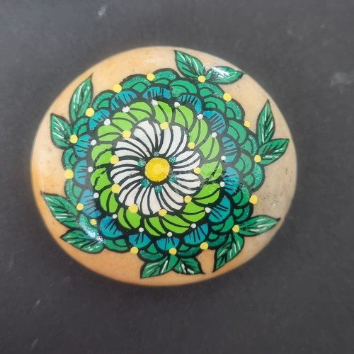 Les galets fleurs de wonder