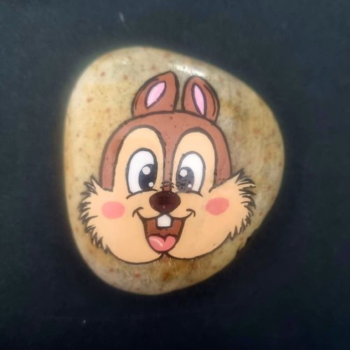 Les galets dessins animés disney de wonder