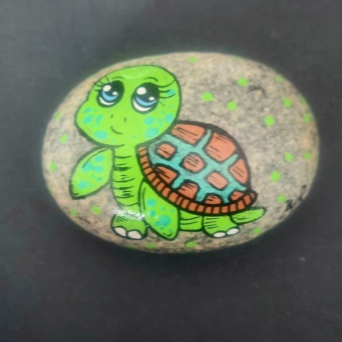 Les galets tortue de wonder