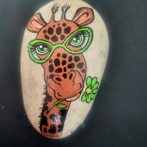 Les galets girafes de wonder