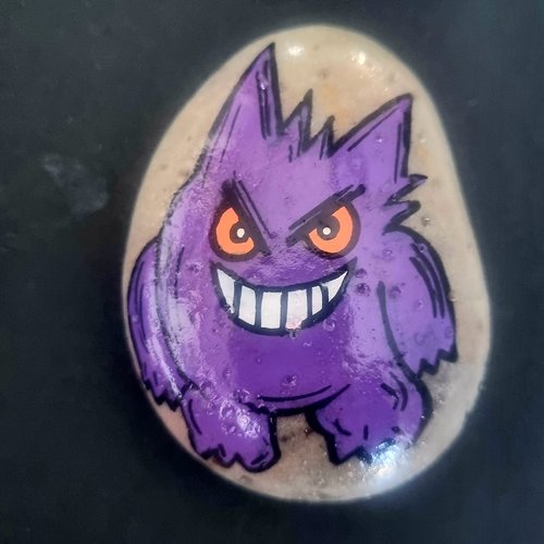 Les galets pokemons de wonder