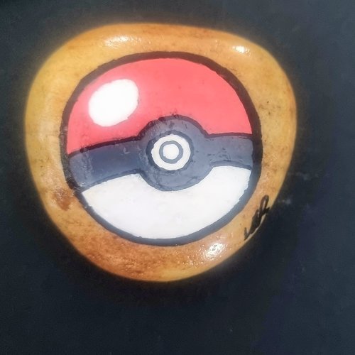Les galets pokemons de wonder
