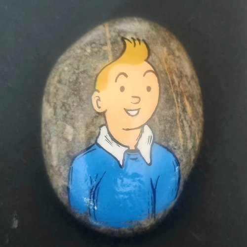Les galets tintin et milou de wonder
