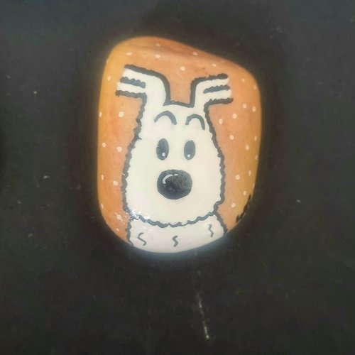 Les galets tintin et milou de wonder
